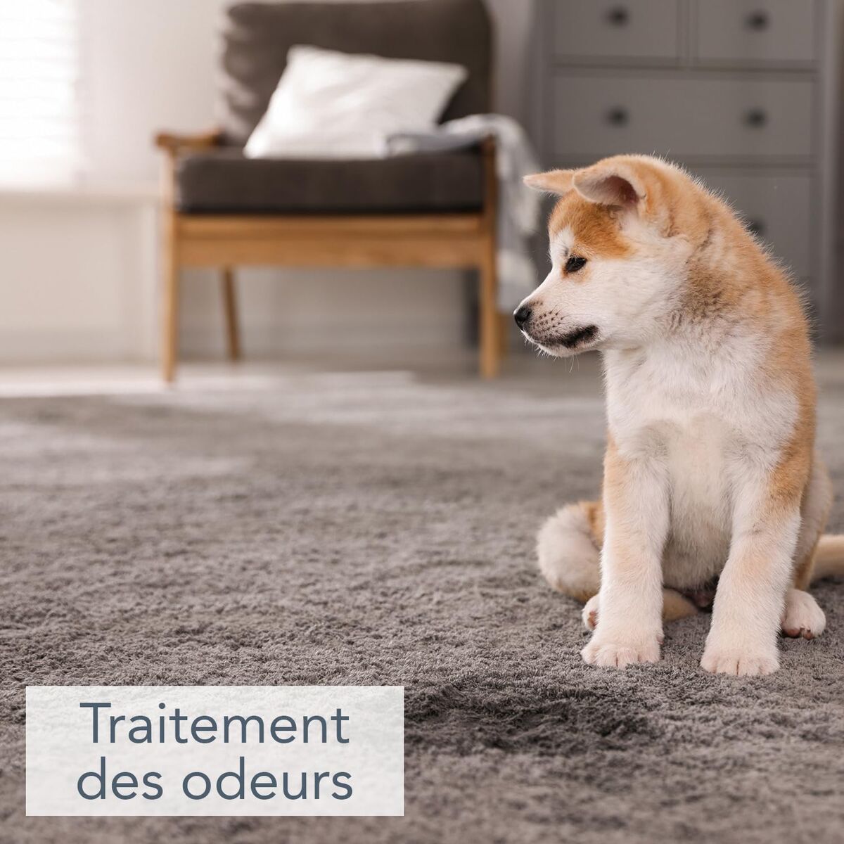 V2H8DCE0B42AFDA9176524DD496B4E9EAEDR7702419P2