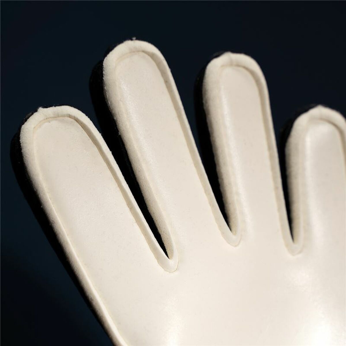 V4H73F7920D70E115B2A365829AAD6C2127R5562831P4