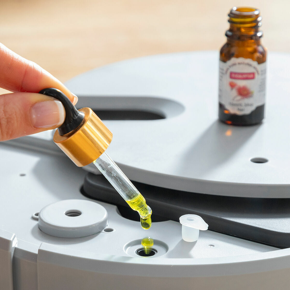 V7H939C6A030069AFB033659030FC62AD5ER7675843P7