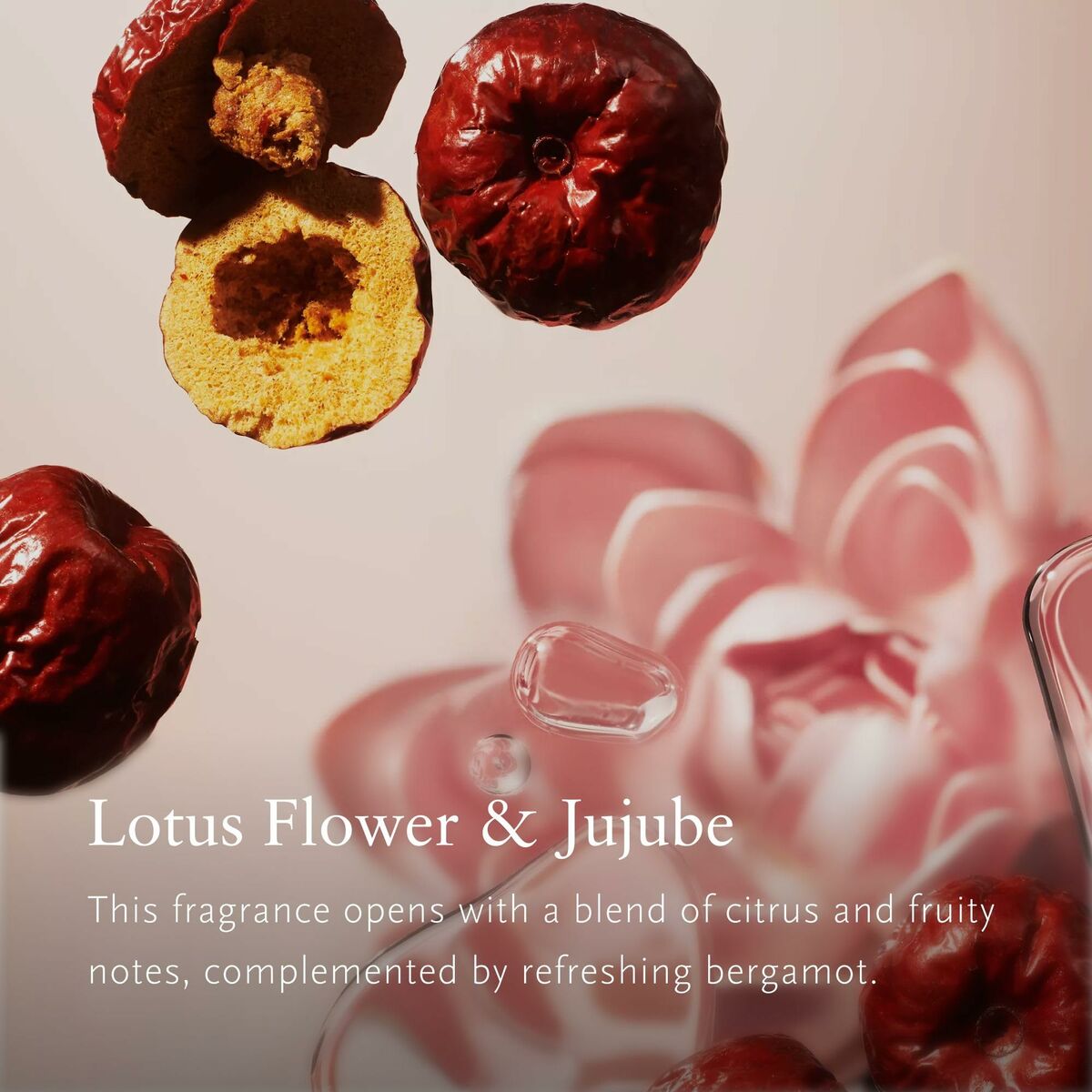 V5H87F311D7D75622BB00B63BC17DA05E58R6240921P4