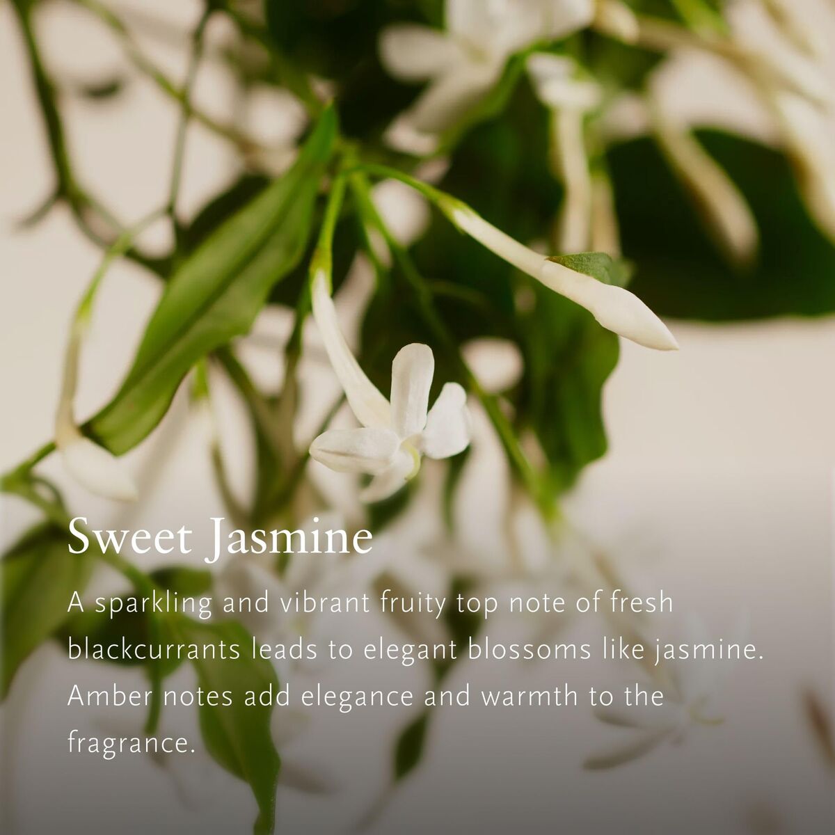 V2HCB7B9F5BD4B06CA60F742A63FFFE193AR7655671P4