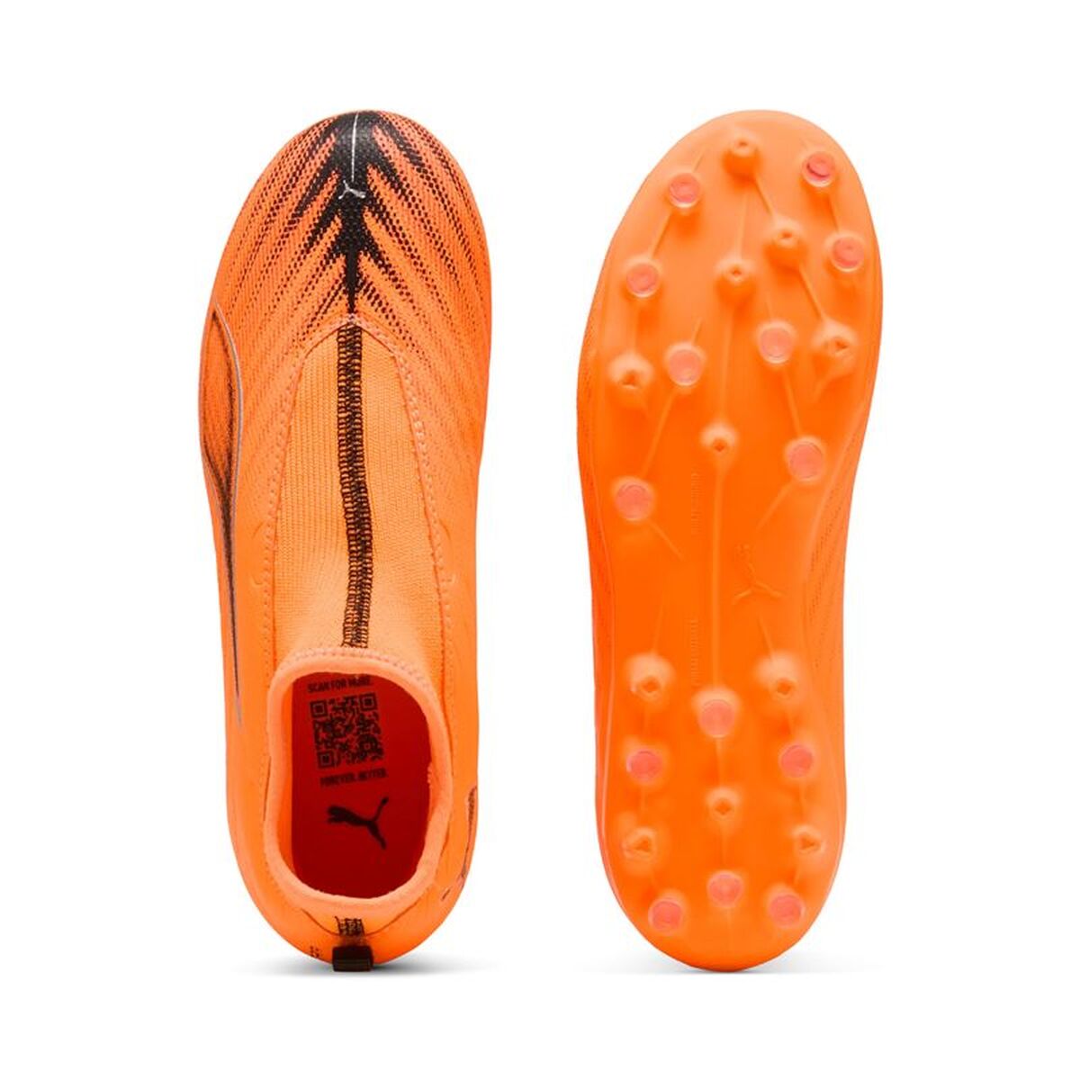 V2H4E88822D819BD92FB4692B265D0279AER7617335P3