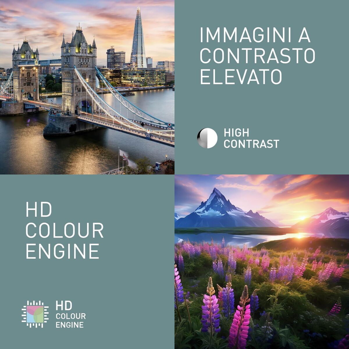 V2H991F8A59B020A11B5BCE07B3BFC88D8DR7381454P9