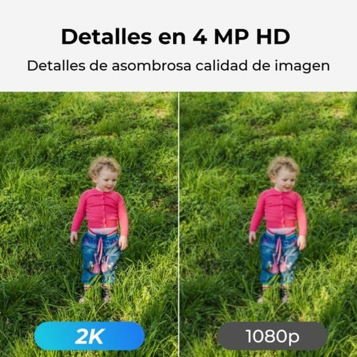 V5H6D131DFFED61ED04FC926D754E46B8C4R5555742P2