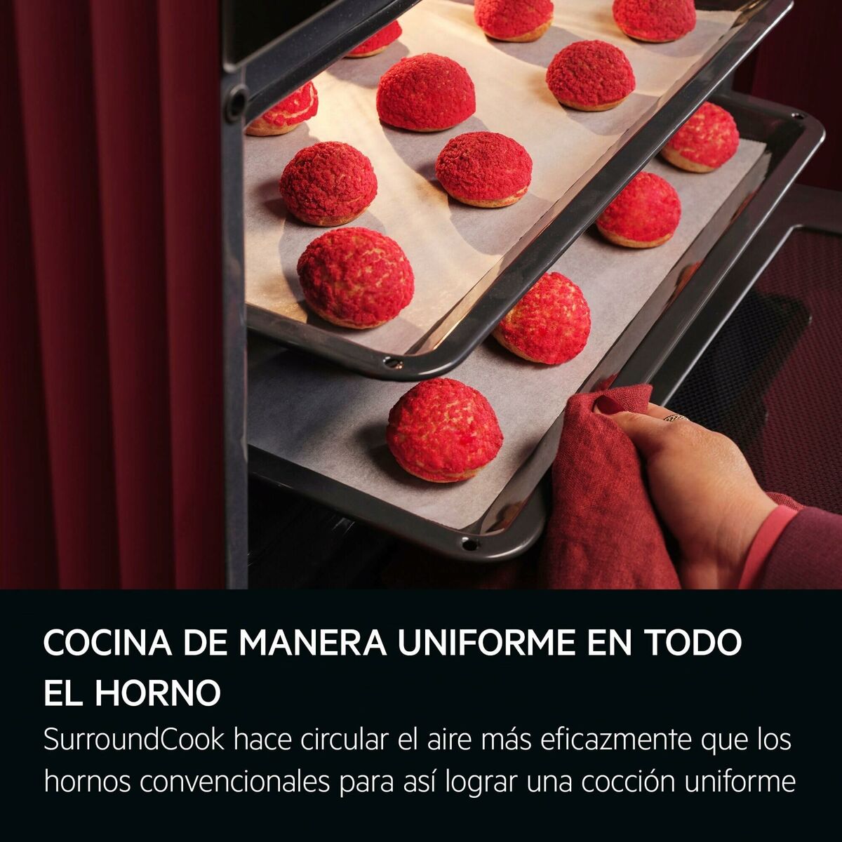 V4H8AF5ED757E554944F966C45DD132E23ER6712794P4