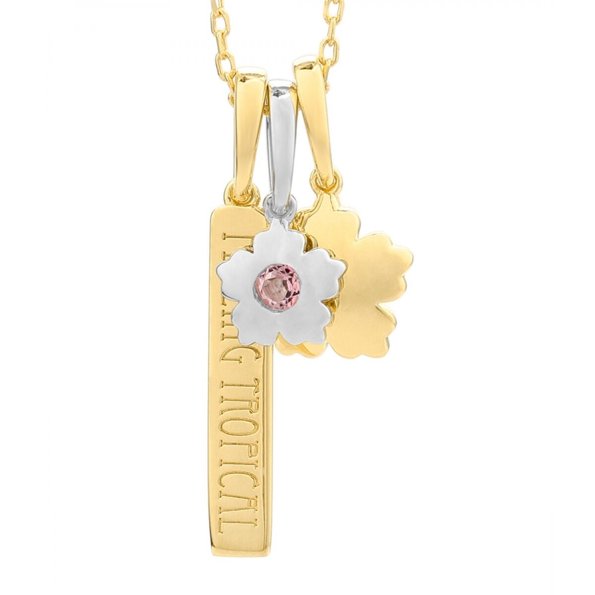 V7HE17B0EEB1AD837F086468E5A7398D74BR4060413P1