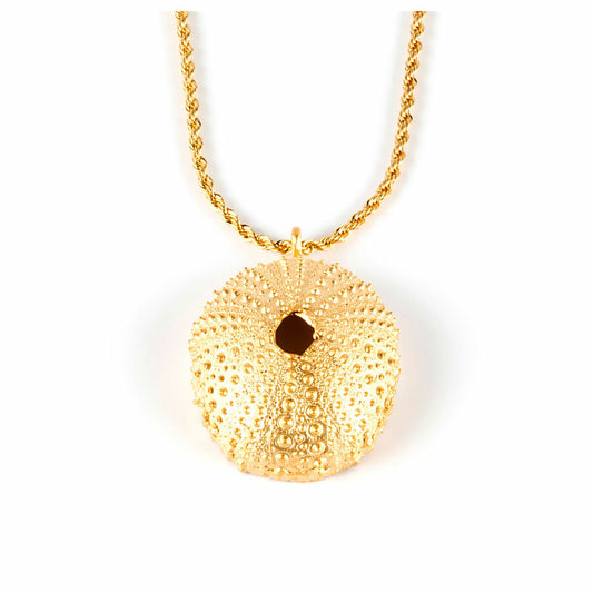 V8H9F5A25A3708F2103B5A21E47FC675F1AR4326600P1