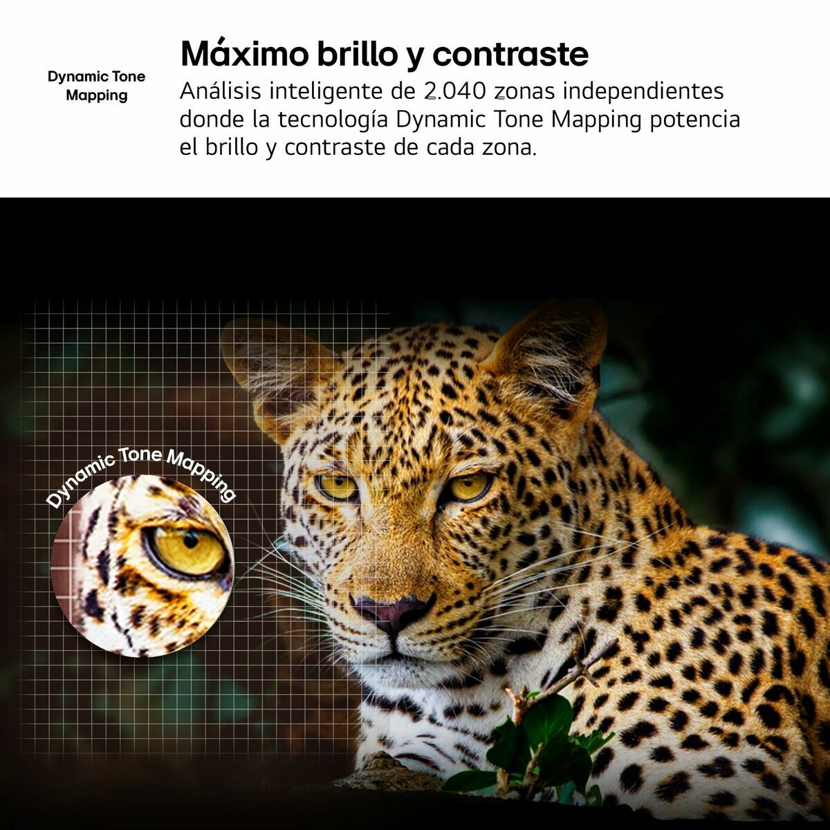 V4HDCE805F3B26A44999C427FB465FD4CDER7422117P7